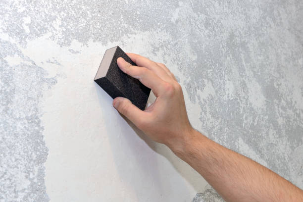 Best Mold-Related Health Consultation  in River Hills, WI