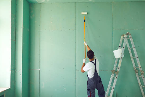Professional Mold Removal in River Hills, WI