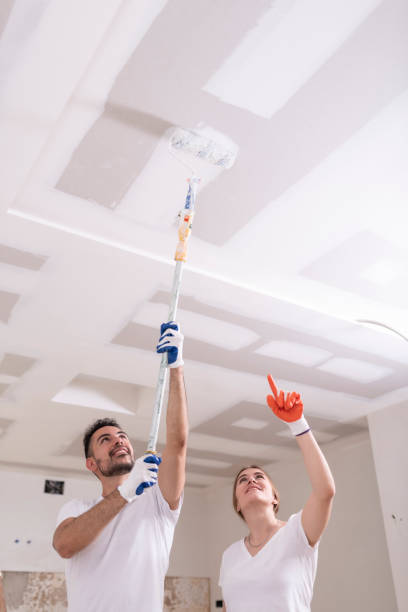 Best Forensic Mold Investigation  in River Hills, WI