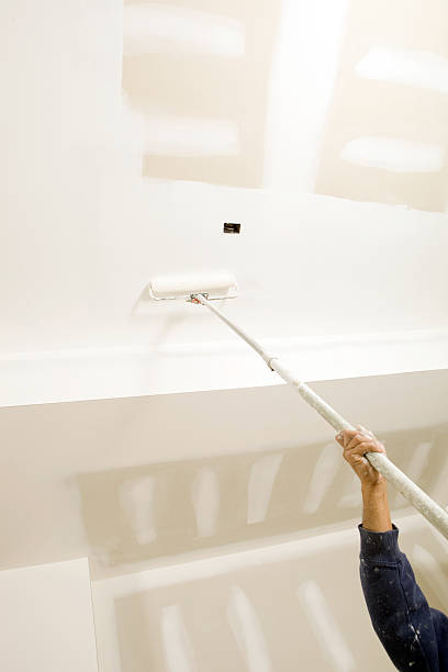 Best Mold Remediation for Healthcare Facilities  in River Hills, WI