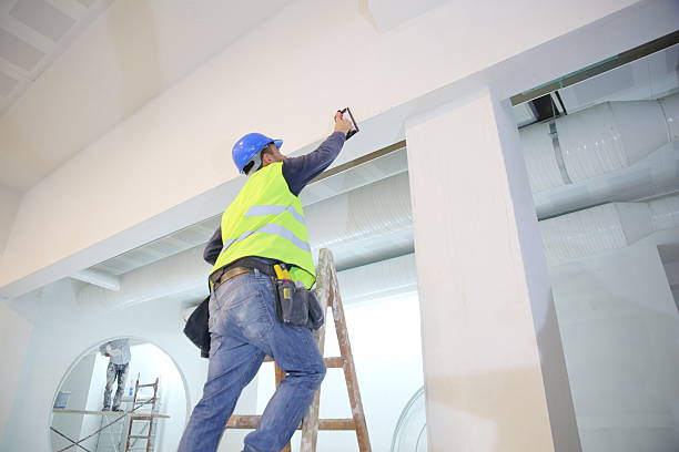 Best Mold Damage Restoration  in River Hills, WI